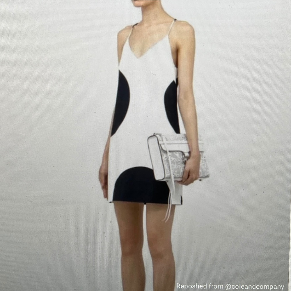 J. Crew Black and White Mini Dress